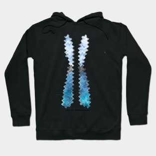 B L W Chromosome Hoodie